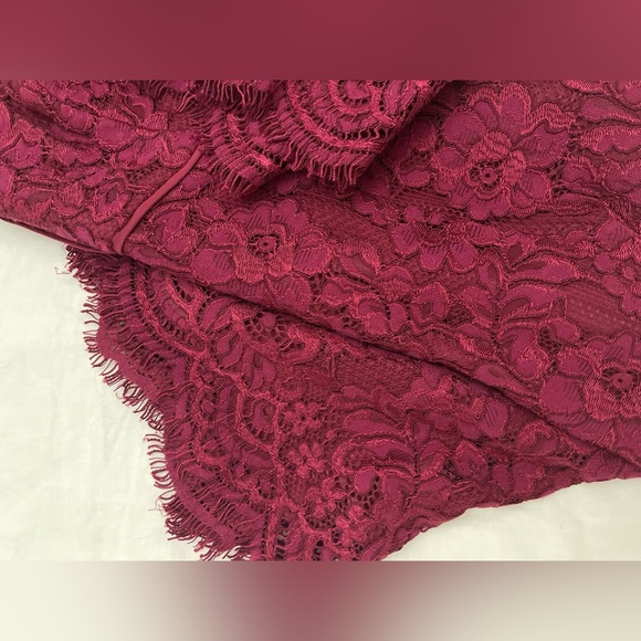 Stunning Raspberry Ever New Lace Dress - Size 8 - Picture 8 of 10